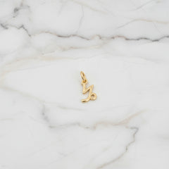 Capricorn Charm