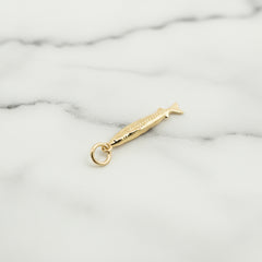 Sardine and Salty Charm