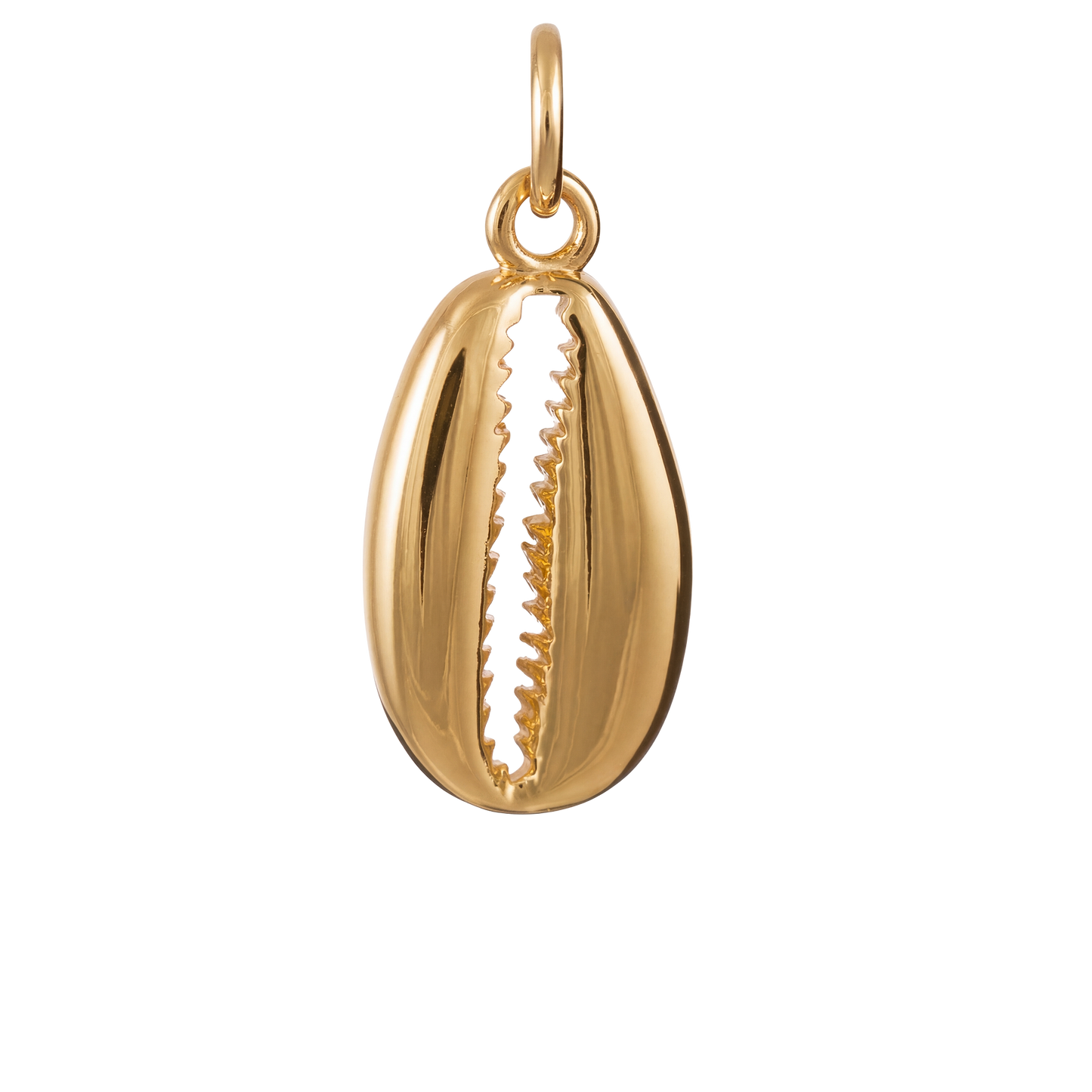 Claw Shell Charm