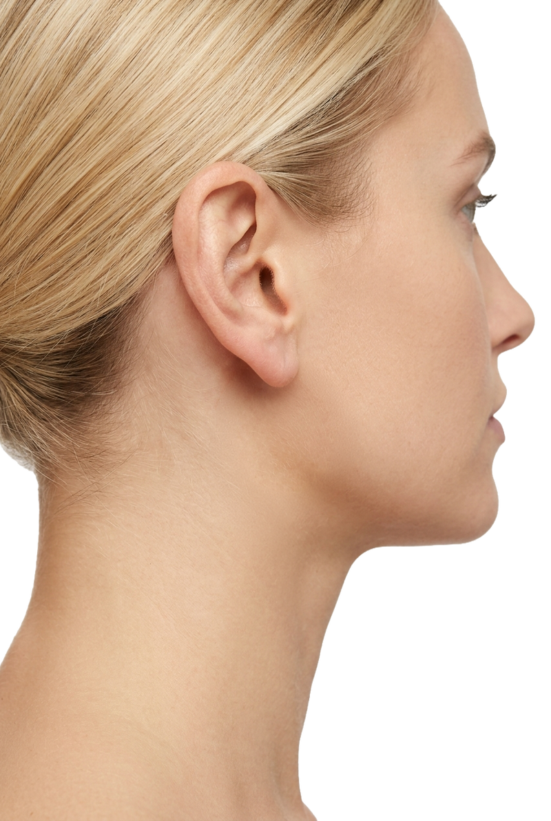 Ear model