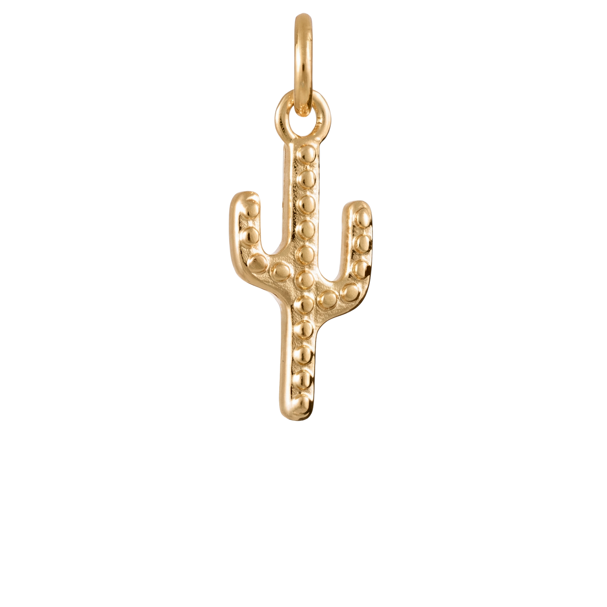 Cactus Charm