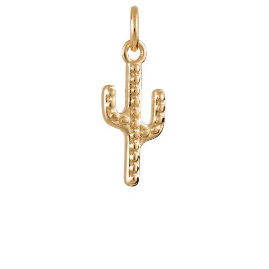 Cactus Charm