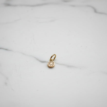 Mini Citrus Charm