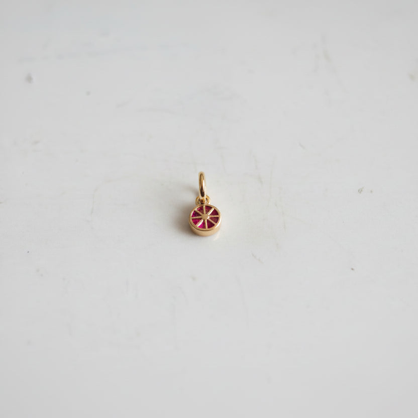 Mini Citrus Charm