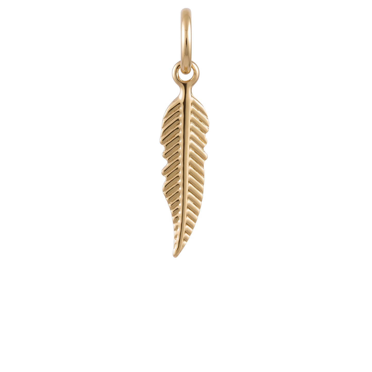 Light as a Feather Charm