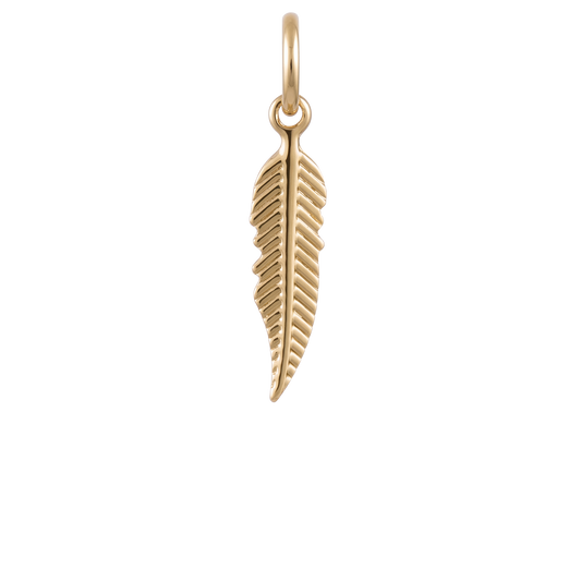 Light as a Feather Charm