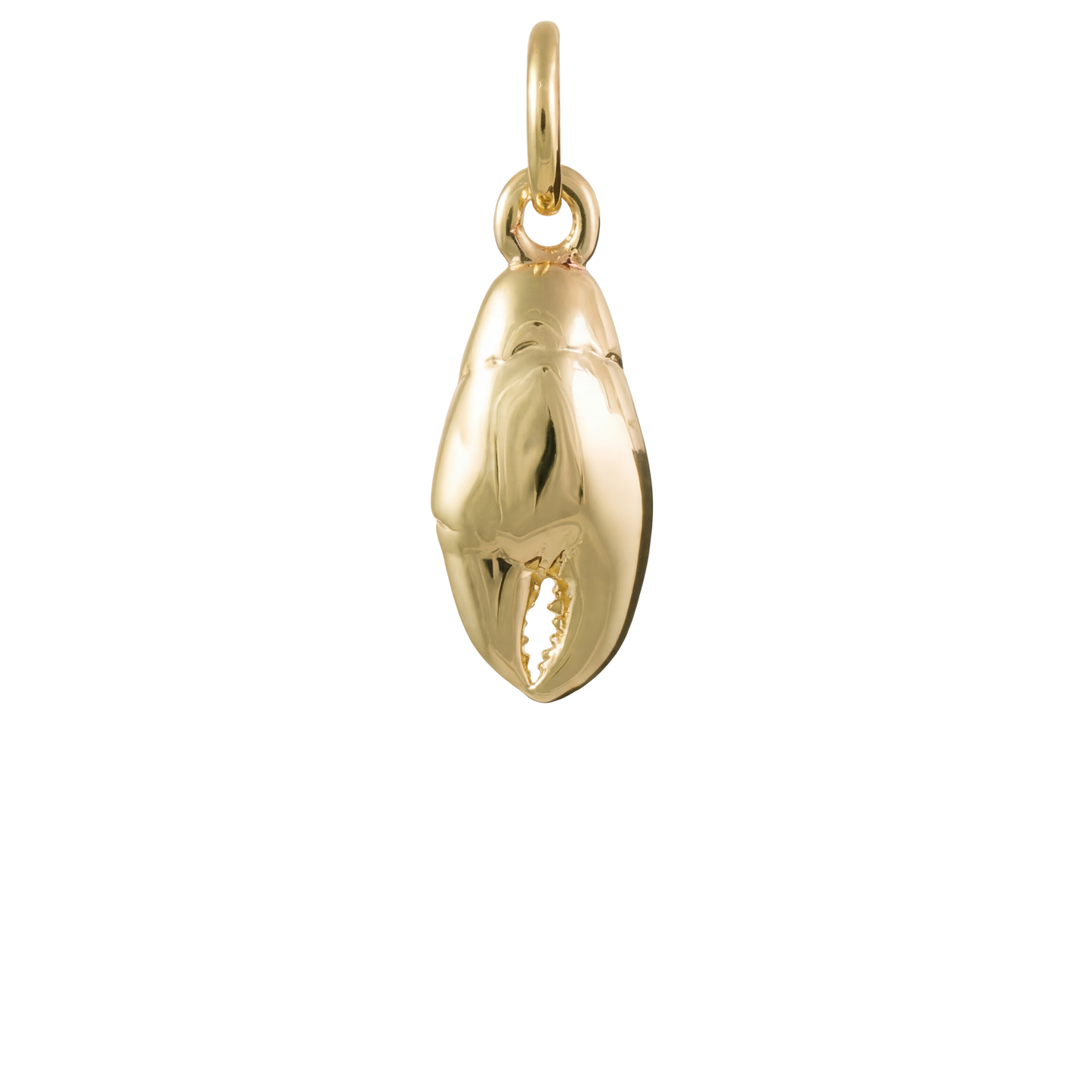 Lobster Claw Charm