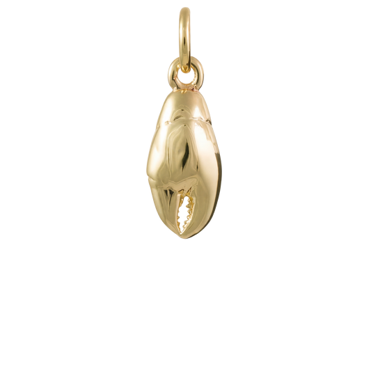 Lobster Claw Charm