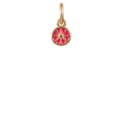 Mini Citrus Charm