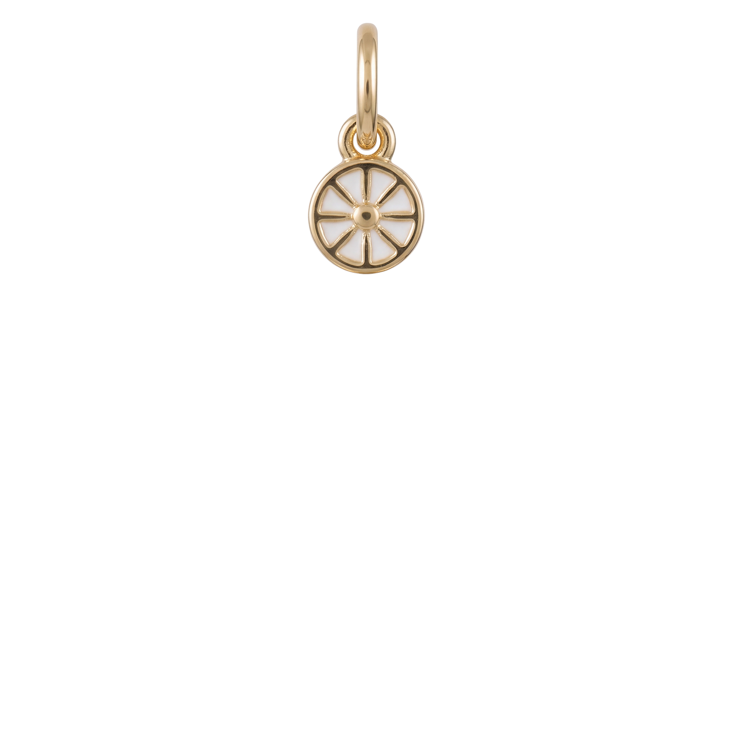 Mini Citrus Charm