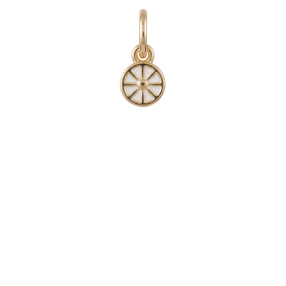 Mini Citrus Charm