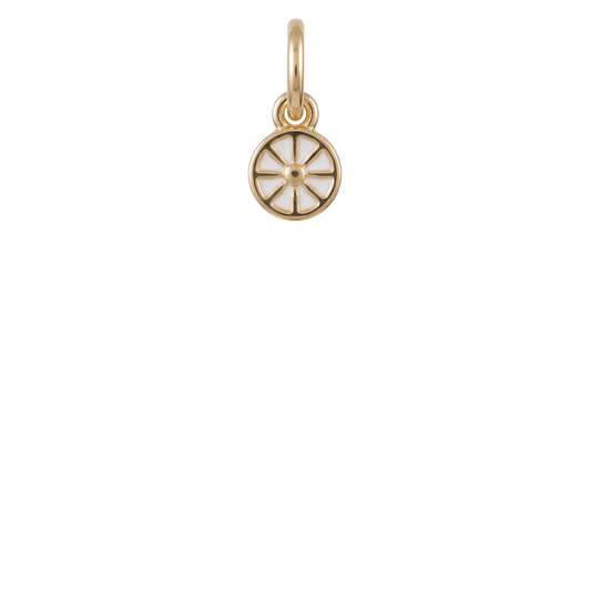Mini Citrus Charm