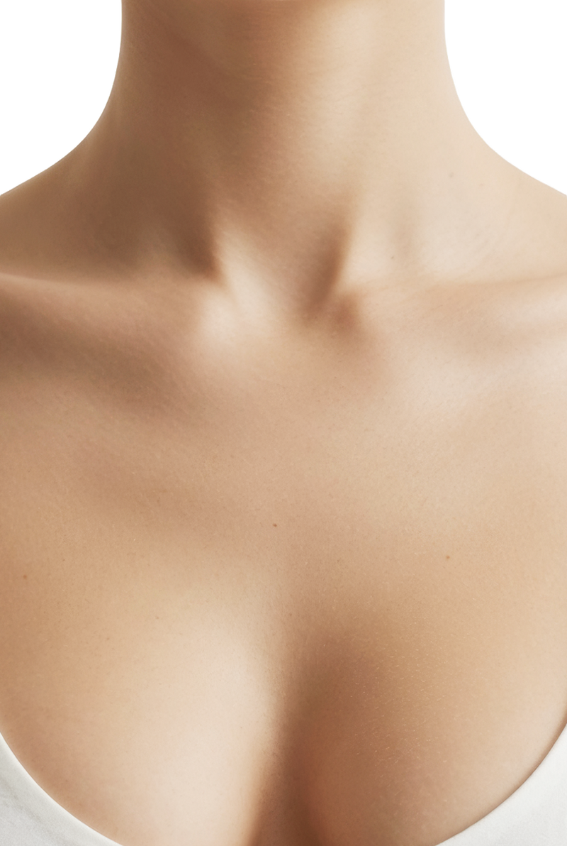 Neck model