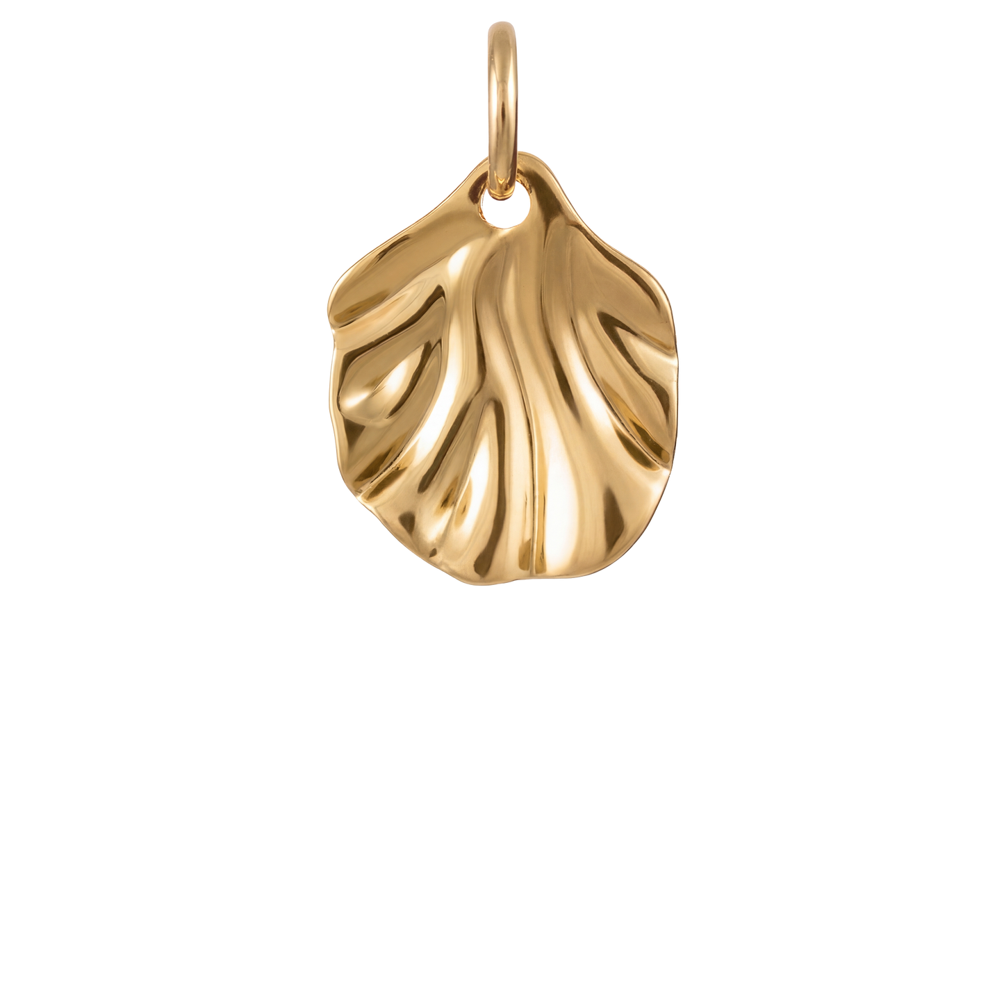 Oyster Charm