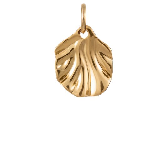 Oyster Charm