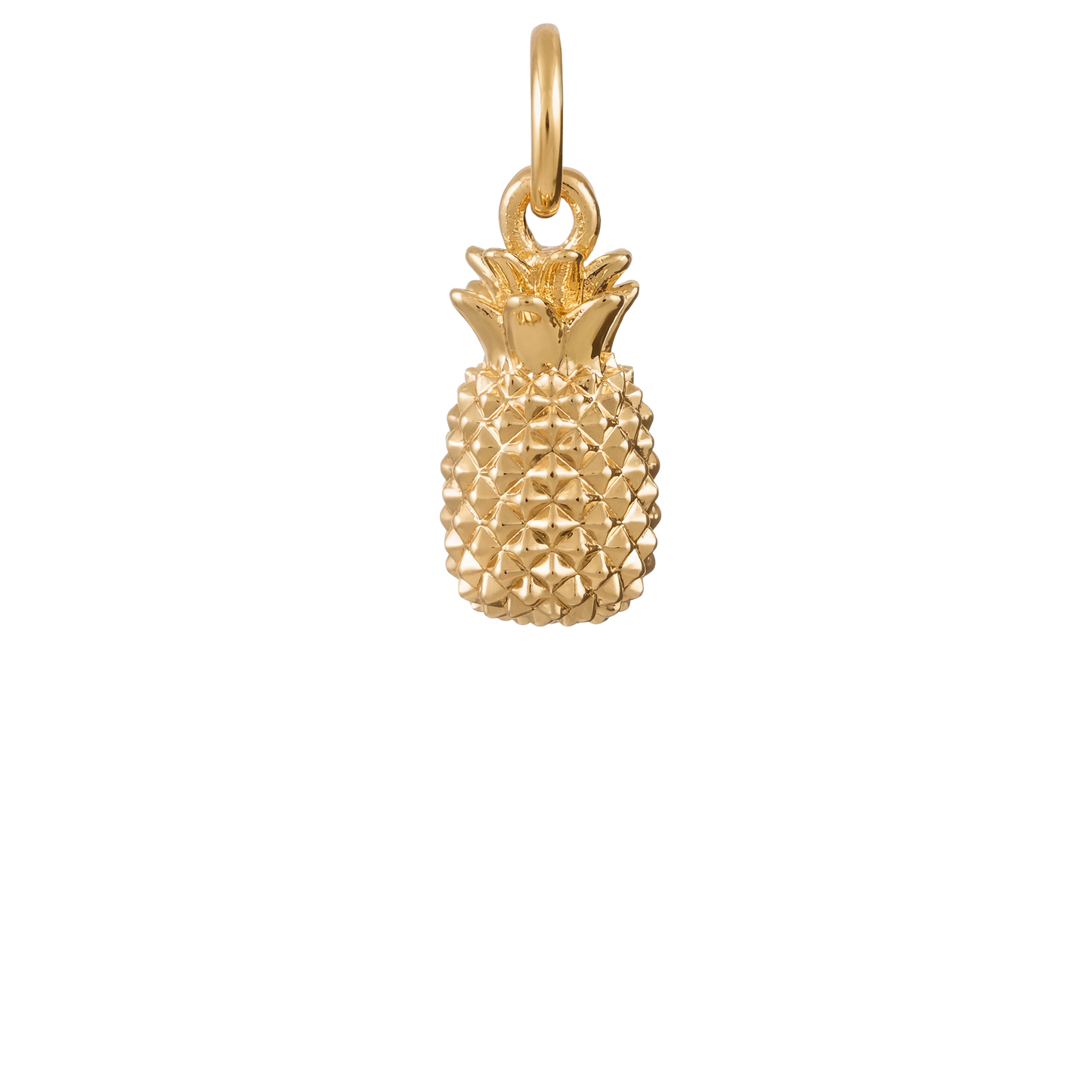 Pineapple Crush Charm