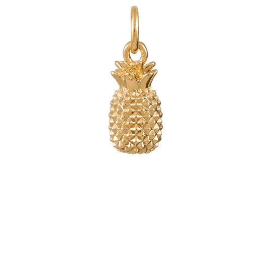 Pineapple Crush Charm