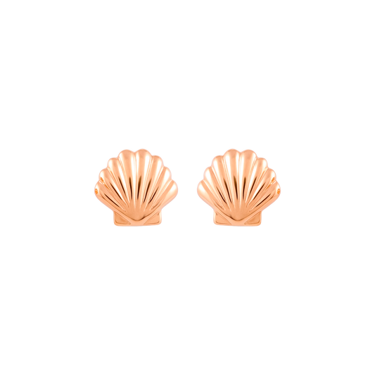 Shell Studs