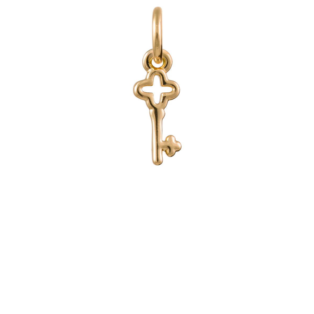 Skeleton Key Charm