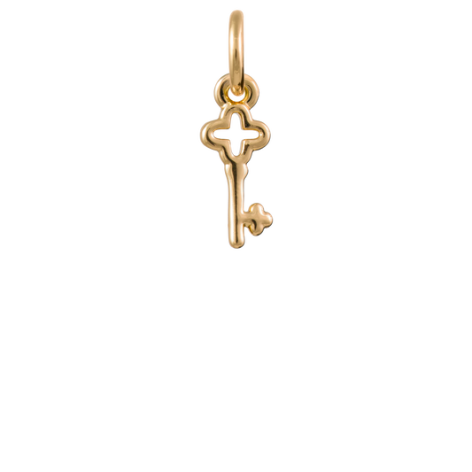 Skeleton Key Charm