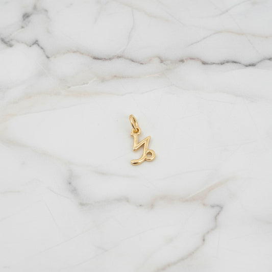 Capricorn Charm