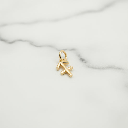 Sagittarius Charm