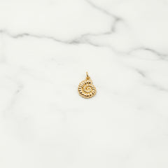Spiral Shell Charm