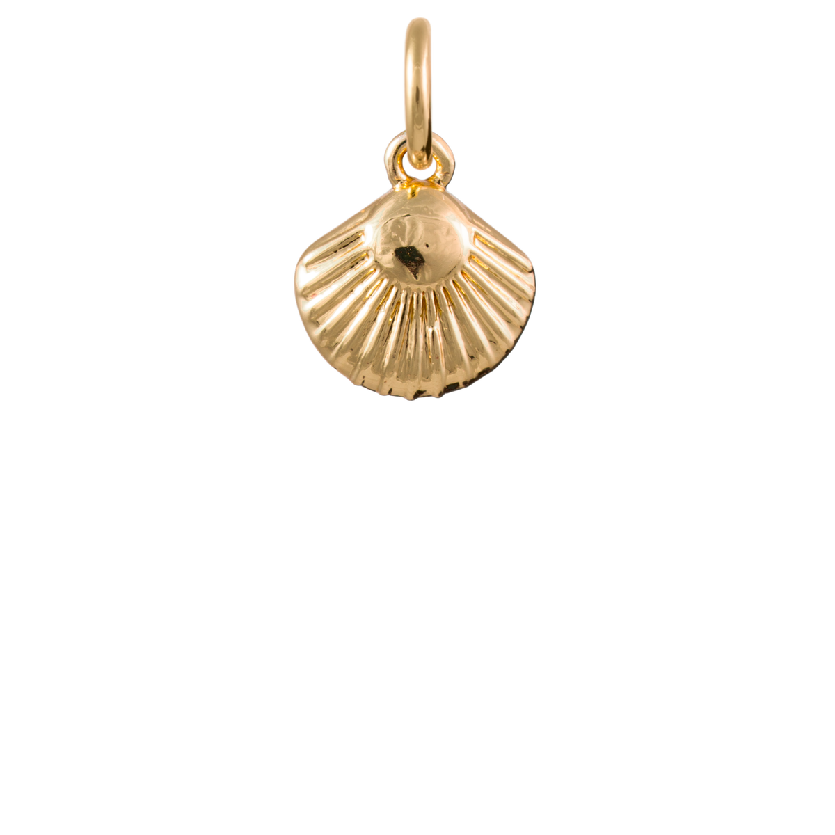 Fan Shell Charm