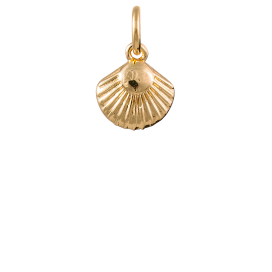 Fan Shell Charm